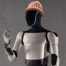 optimuswifhat